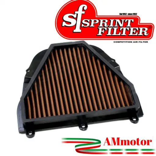 Filtro Aria Sportivo Moto Triumph Daytona 675 SE 08 - 2009 Sprint Filter PM60S