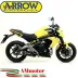 Terminale Di Scarico Arrow Kawasaki ER-6N 12 - 2016 Slip-On Race-Tech Alluminio Dark Moto Fondello Carbonio
