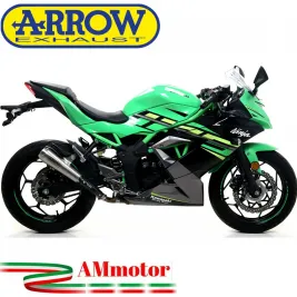Terminale Di Scarico Arrow Kawasaki Ninja 125 19 - 2020 Slip-On Pro-Race Nichrom Moto