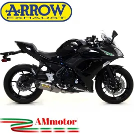 Terminale Di Scarico Arrow Kawasaki Ninja 650 17 - 2020 Slip-On Race-Tech Titanio Moto Fondello Carbonio