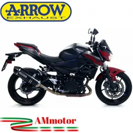 Terminale Di Scarico Arrow Kawasaki Z 400 19 - 2020 Slip-On Race-Tech Carbonio Moto Fondello Carbonio