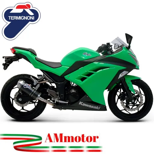 Terminale Di Scarico Termignoni Kawasaki Ninja 300 R Marmitta Relevance Carbonio Moto Racing