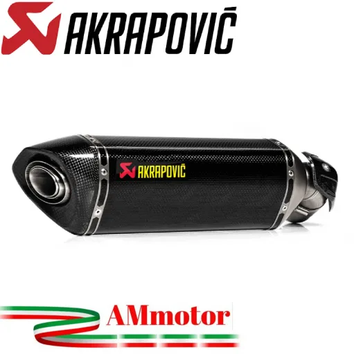 Akrapovic Kawasaki Ninja 1000 SX Terminale Di Scarico Slip-On Line Carbonio Moto Omologato
