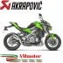 Akrapovic Kawasaki Z 900 17 - 2019 Terminale Di Scarico Slip-On Line Titanio Moto