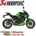 Akrapovic Kawasaki Z 900 20 - 2024 Terminale Di Scarico Slip-On Line Carbonio Moto Omologato