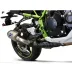 Termignoni Kawasaki Z 900 Terminale Di Scarico Moto Marmitta Relevance Titanio