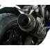 Terminale Di Scarico Termignoni Yamaha Yzf R6 Marmitta Gp Carbonio Moto Omologato Alto
