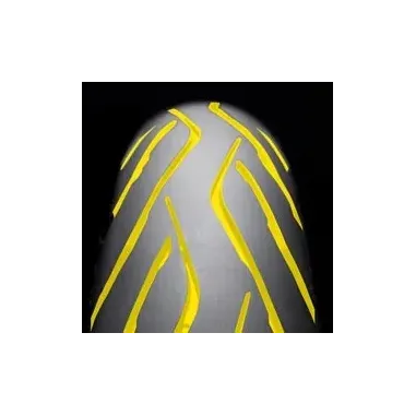 Roadsmart 4 GT 120 70 ZR 190 55 17 Coppia Gomme Pneumatici Per Moto