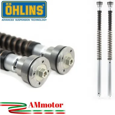 Ducati Monster 937 Cartuccia Forcella Ohlins Nix 30 Regolabile Idraulica