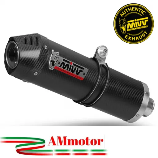 Mivv Bmw F 700 GS 12 - 2017 Terminale Di Scarico Moto Marmitta Oval Carbonio Omologato