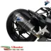 Termignoni MV AGUSTA F3 675 Terminale Di Scarico Moto RELEVANCE Titanio Carbonio