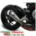 Terminale Di Scarico Termignoni MV Agusta F3 800 Marmitta Conica Titanio