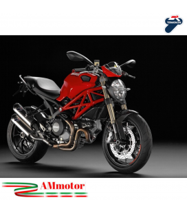 Coppia Scarico Termignoni Ducati Monster 1100 EVO Silenziatore Moto Omologato