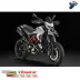 Scarico Completo Termignoni Ducati Hypermotard 939 Silenziatore Moto Racing