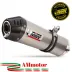 Mivv Bmw F 650 GS Terminale Di Scarico Per Moto Marmitta Oval Titanio Carbon Cap