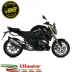 Mivv Bmw R 1250 R / RS Terminale Di Scarico Moto Marmitta SR-1 Titanio Omologato