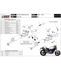 Mivv Ducati Monster 696 Terminali Di Scarico Moto Marmitte GP Carbonio