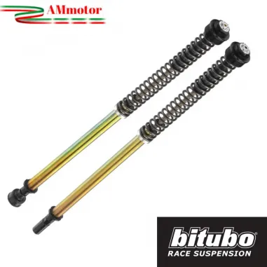Cartuccia Forcella Kawasaki Z H2 1000 2020 Moto Bitubo Sospensione Pressurizzata