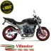 Mivv Honda Hornet 600 03 - 2006 Terminale Di Scarico Moto Marmitta X-Cone Inox