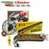 Did Kit Z 900 Kawasaki Trasmissione Moto Completa Catena VX3 Oro Rapporti Originali
