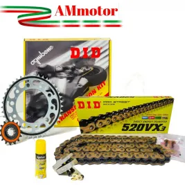 Kit Did Honda Forza 750 Trasmissione Moto Catena 520 VX3 Oro Rapporti Originali 17 38