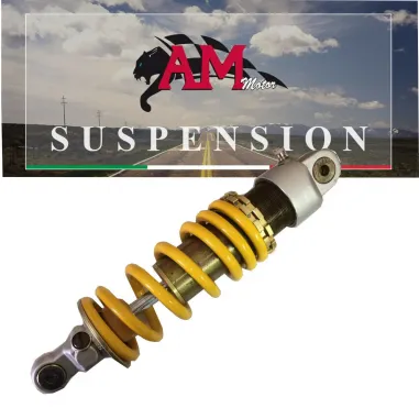 Revisione Mono Ammortizzatore Sachs Per Aprilia Tuono 1000 Moto Sospensione