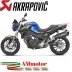 Akrapovic Bmw F 800 R Terminale Di Scarico Slip-On Line Titanio Black Moto Omologato