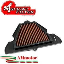 Filtro Aria Sportivo Moto Kawasaki Z 1000 11 - 2020 Sprint Filter PM111S