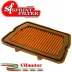 Filtro Aria Sportivo Moto Triumph Tiger 800 11 - 2015 Sprint Filter PM124S