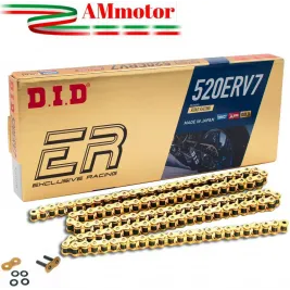 Catena Did Racing ERV7 520 120 Maglie Trasmissione Moto Oro