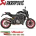 Akrapovic Ducati Monster 950 Terminali Di Scarico Moto Slip-On Line Titanio