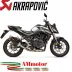Akrapovic Honda Cb750 Hornet Terminale Di Scarico Moto Slip-On Line Carbonio Omologato
