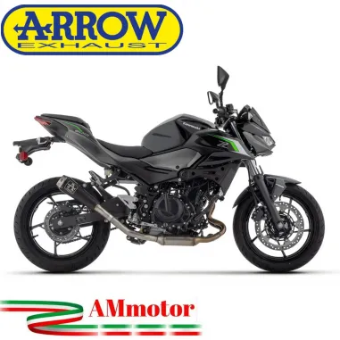 Arrow Kawasaki Z 500 Terminale Di Scarico Moto Marmitta Pro-Race Nichrom Dark