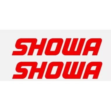 Paraoli Forcella Showa 41 x 54 x 11 Sospensione Moto