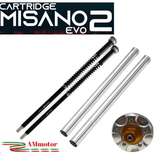 Ducati Hypermotard 796 Cartuccia Forcella Completa Di Steli Andreani Misano Evo 2 Regolabile Idraulica Moto