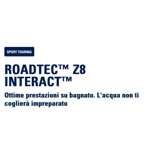 Roadtec Z8 Interact 120 70 190 / 55 ZR 17 Coppia Metzeler Pneumatici moto Gomme