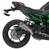 Termignoni Kawasaki Z 900 2025 Terminale Di Scarico Per Moto GP2R Titanio Racing