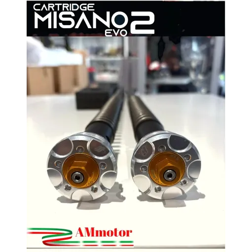 Yamaha Xsr 700 Cartuccia Forcella Andreani Misano Evo 2 Regolabile Idraulica Moto