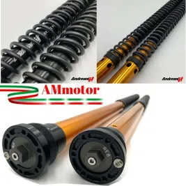 Ktm 790 Adventure S Cartuccia Forcella Andreani Rally Race High version Regolabile Idraulica Versione alta + 20 mm