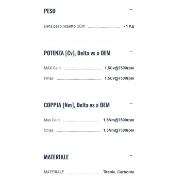 Termignoni Bmw R 1300 GS Adventure Terminale Di Scarico Moto Slip-On Titanio Omologato