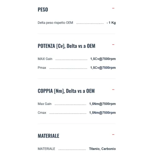 Termignoni Bmw R 1300 GS Adventure Terminale Di Scarico Moto Slip-On Titanio Omologato