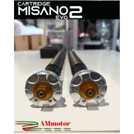 Ducati 916 Cartuccia Forcella Andreani Misano Evo Regolabile Idraulica