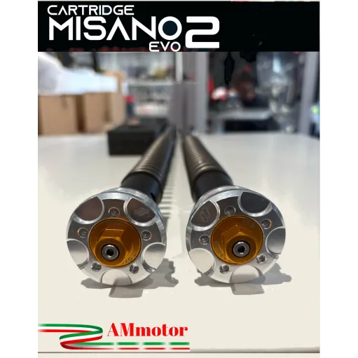 Ducati 916 Cartuccia Forcella Andreani Misano Evo Regolabile Idraulica