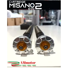 Triumph Street Triple 765 RS Cartuccia Forcella Andreani Misano Evo 2 Regolabile Idraulica