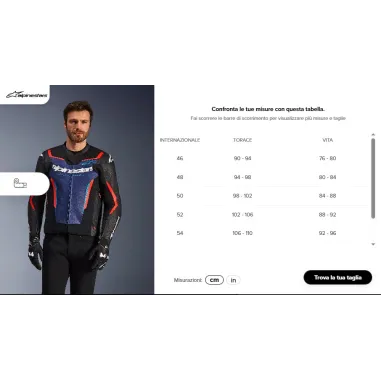 Alpinestars GP Force V2 Black Giacca In Pelle Moto