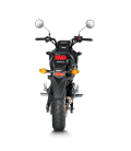 Akrapovic Honda Msx 125 / Grom Terminale Di Scarico Slip-On Line Carbonio Moto Omologato