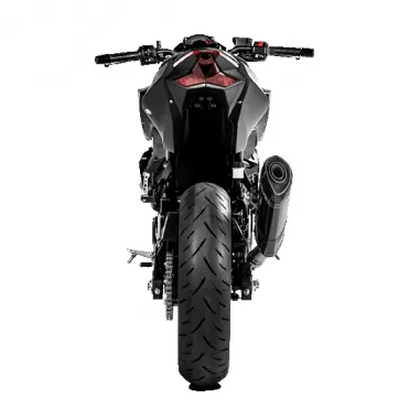 Akrapovic Kawasaki Z 400 Terminale Di Scarico Moto Slip-On Line Carbonio