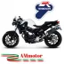 Terminale Di Scarico Termignoni Bmw F 800 R Marmitta Oval Inox Carbon Look Moto Omologato