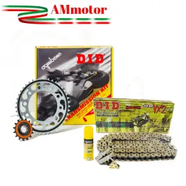 Did Kit Ktm 640 Supermoto Lc4 04 2006 Rapporti Modificati Trasmissione Moto