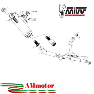 Mivv Suzuki Dl V-Strom 650 Terminale Di Scarico Moto Marmitta Oval Titanio Carbon Cap